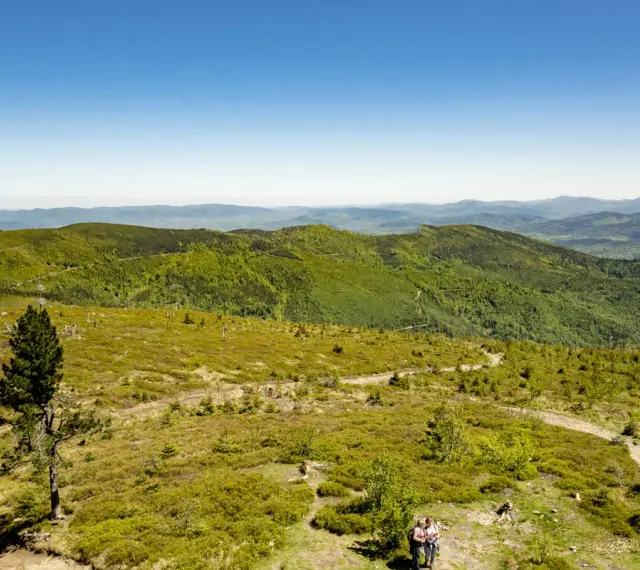 Malownicze szlaki na Baraniej Górze prowadzą przez zielone wzgórza i lasy. Dwie osoby podziwiają panoramę Beskidów.