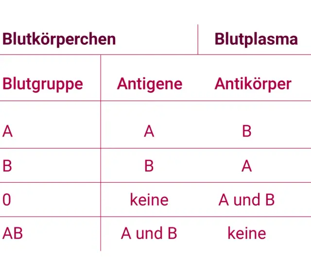 Tabelle zeigt Blutgruppen, Antigene und Antikörper im Blut. Blut ist lebenswichtig.
