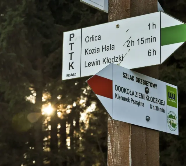 Znaki szlaku PTTK wskazują drogę na Orlicę, Kozią Halę i do Lewina Kłodzkiego. Orlica trasa jest oznaczona zieloną strzałką.