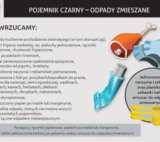 Czarny pojemnik na odpady zmieszane. Wrzucamy tu m.in. resztki mięsa, zużyte pieluchy, tubki po pastach, zatłuszczony papier.