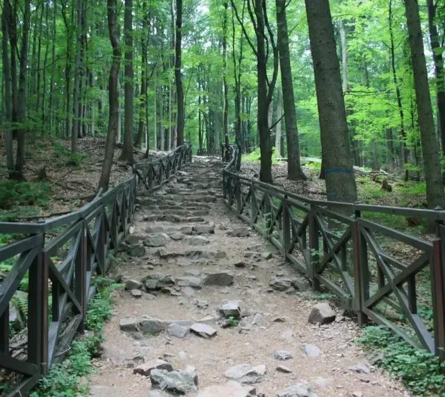 Kamieniste schody wiodące przez las w Górach Świętokrzyskich, otoczone drewnianą balustradą.