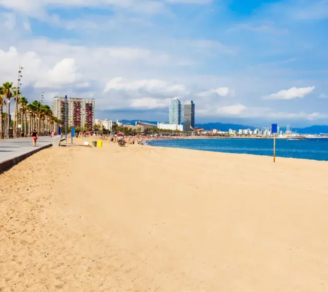 Słoneczna plaża w Barcelonie, palmy, deptak i błękitne morze. W oddali widać panoramę miasta.