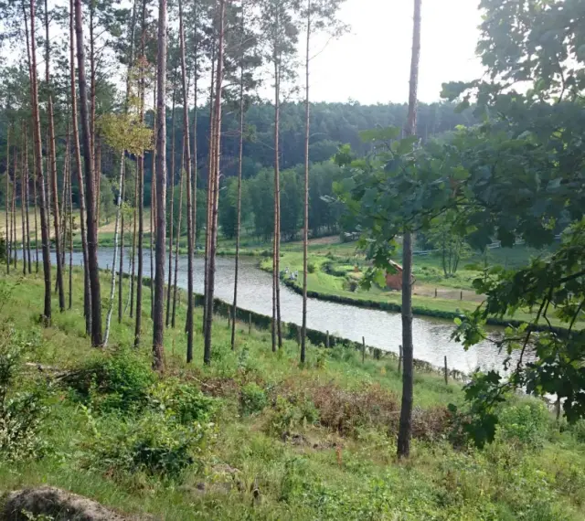 Malownicze jezioro Wilcze otoczone lasem sosnowym, z widocznym małym domkiem i kilkoma osobami spacerującymi nad wodą.