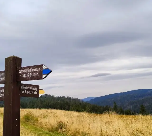 Drewniany drogowskaz w górach, wskazujący szlaki na gorce szczyty. W tle las i zachmurzone niebo.