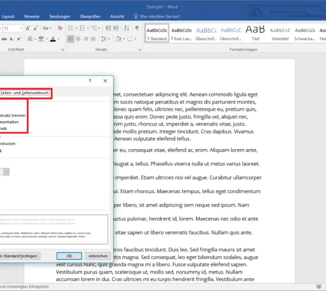 Dialogfenster "Absatz" in Word, Reiter "Zeilen- und Seitenumbruch" mit Optionen zur Textformatierung, z.B. Absatzkontrolle.