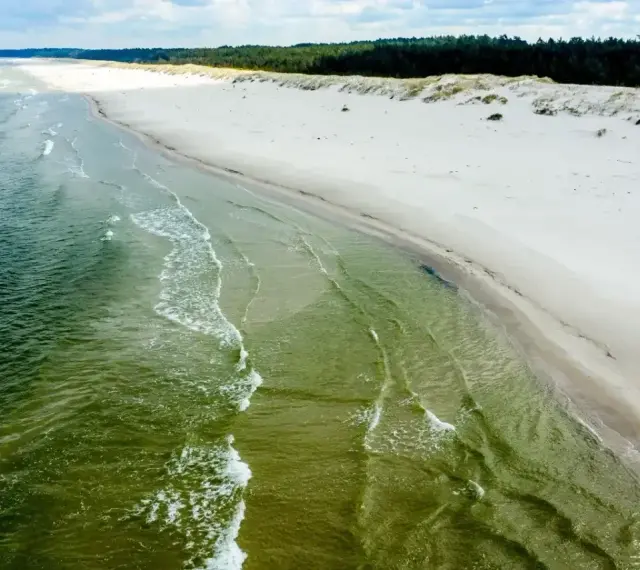 Plaża Słajszewo: szeroka, piaszczysta plaża z zielonymi wodami Bałtyku i lasem w tle. Idealne miejsce na spokojny spacer.