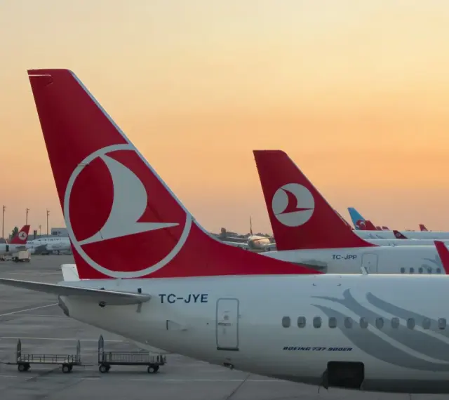 Samoloty tureckich linii lotniczych Turkish Airlines stojące na płycie lotniska o zachodzie słońca.