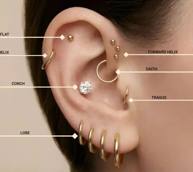 Złote kolczyki w uchu: flat, helix, conch, lobe, forward helix, daith, tragus. Różne nazwy kolczyków w uchu.
