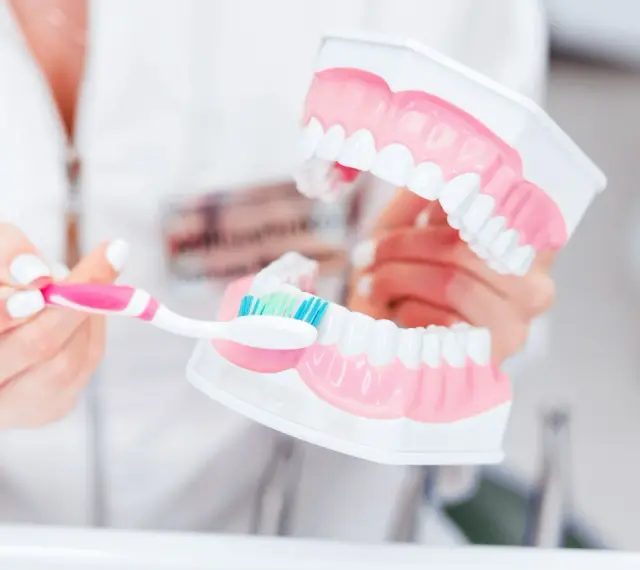 Dentyści pokazują na modelu, jak prawidłowo myć zęby, by uniknąć zbyt długiego mycia.