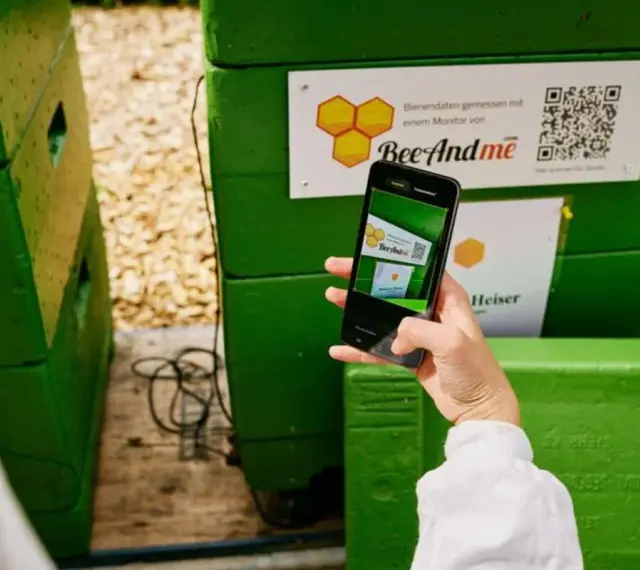 Ręka trzyma smartfon, by zeskanować kod QR na zielonym ulu. Aplikacja BeeAndMe pokazuje podgląd.