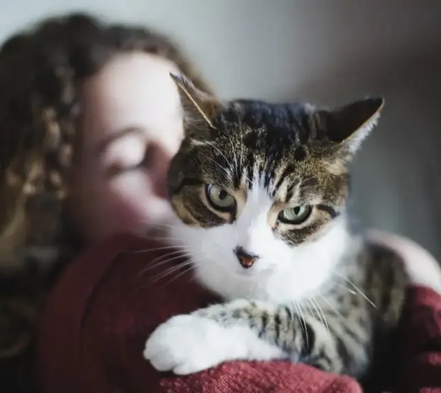 Kot w ramionach dziewczyny, czułe chwile felinoterapii.