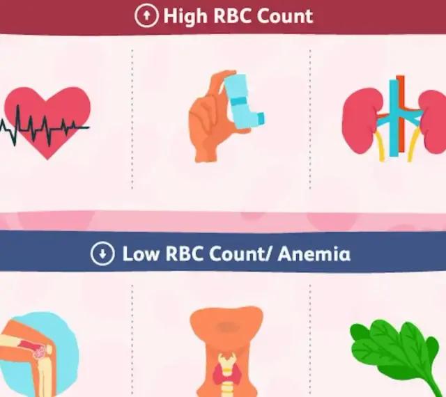 Grafika przedstawia ikony serca z EKG, inhalatora, nerek (wysoki poziom erytrocytów) oraz stawu kolanowego, tarczycy i liścia szpinaku (niski poziom erytrocytów/anemia).