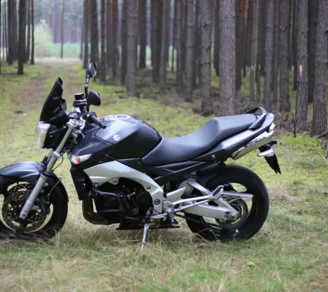 Suzuki GSR 600 dane techniczne: czarny motocykl stoi na leśnej ścieżce, otoczony sosnami.