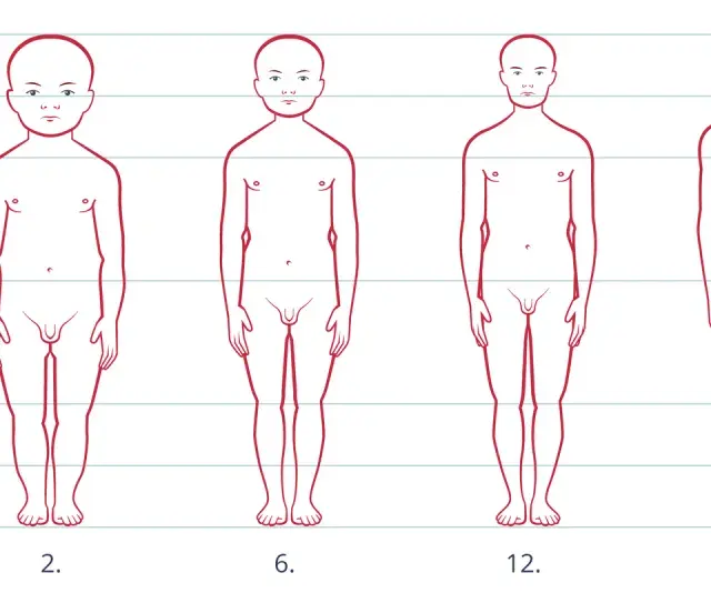 Ilustracja pokazuje rozwój sylwetki od noworodka do 25. roku życia, ukazując, kiedy dziecko rośnie najszybciej.