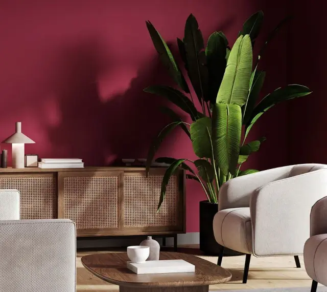 Nowoczesny salon z burgundową ścianą. Jasne fotele i sofa, drewniana komoda z rattanowymi frontami, duża roślina i stolik kawowy. Idealne inspiracje, z czym łączyć burgund.