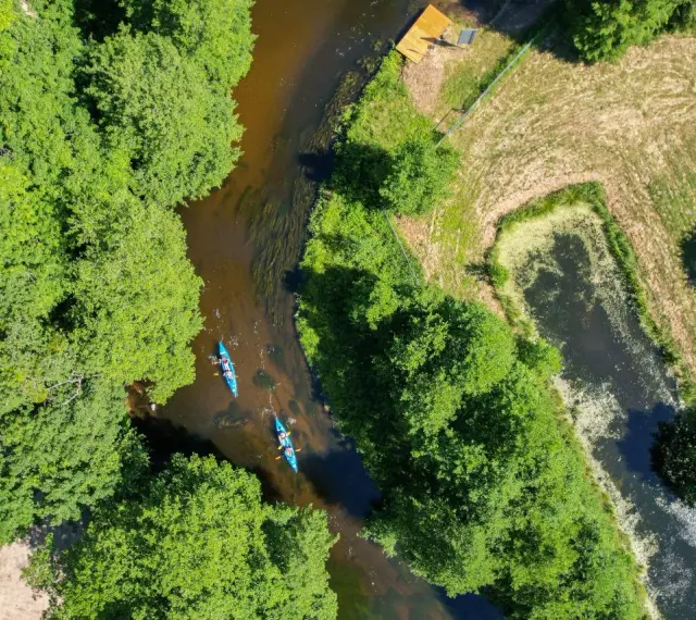 Spływ kajakowy rzeką to jedna z pięknych kociewie atrakcji. Dwie kajaki płyną wśród zielonych drzew.