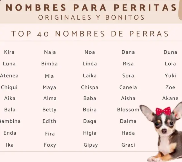 Lista imion dla suczki: Kira, Nala, Noa, Dana, Duna, Luna, Lola, Yuki, Zoe, Akane, Blossom, Dalma, Hada, Graci i wiele innych.