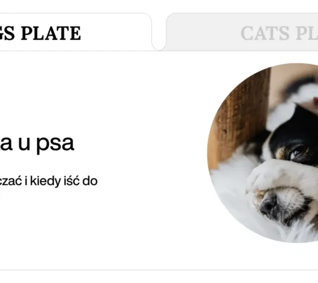 Chory piesek z zasłoniętymi oczami. Artykuł o biegunce i wymiotach u psa.