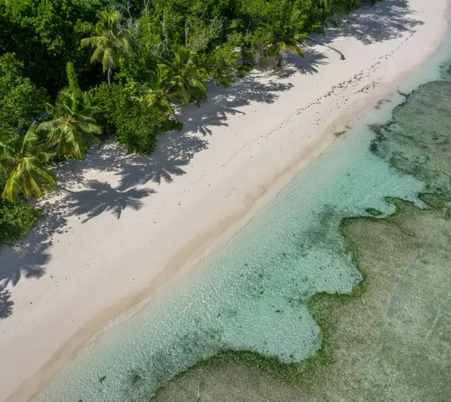 Rajska plaża z palmami i turkusową wodą. Czy Seszele są bezpieczne? Tak, to idealne miejsce na spokojny wypoczynek.