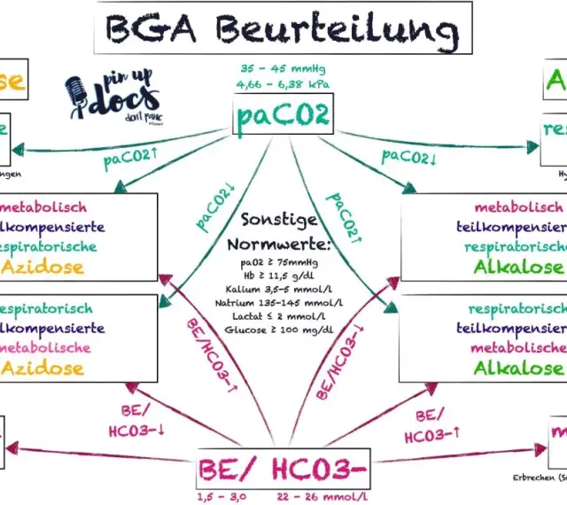 Schema zur BGA Interpretation: Azidose/Alkalose, paCO2 & BE/HCO3- Werte und deren Ursachen.