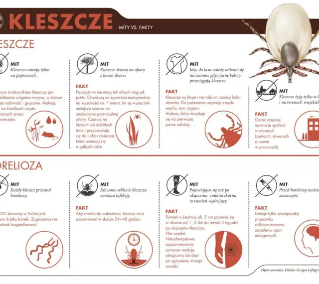 Kleszcze nie lubią jasnych kolorów ubrań, bo przyciągają je ciemne. Atakują z traw i krzewów, nie skaczą z drzew.