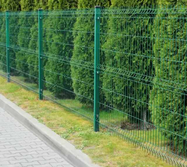 Zielone, metalowe ogrodzenie panelowe, jeden z popularnych rodzajów ogrodzeń, oddziela chodnik od gęstego żywopłotu.