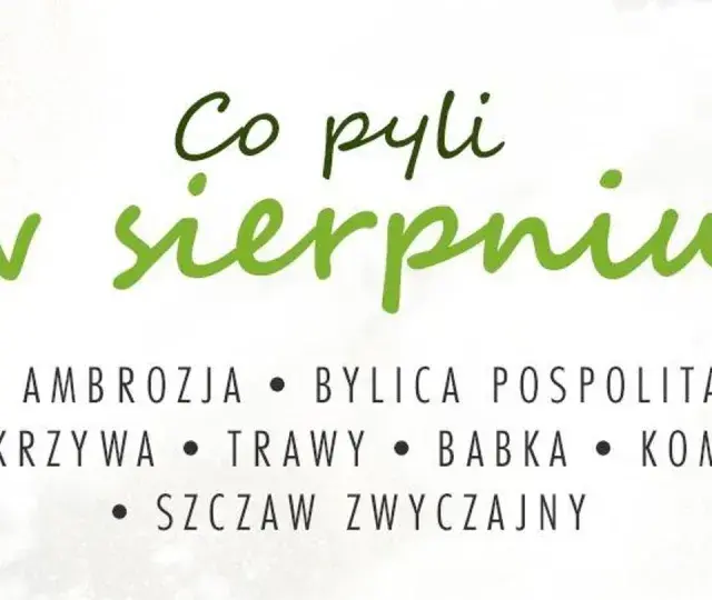 Co teraz pyli w sierpniu? Ambrozja, bylica, pokrzywa, trawy, babka, komosa i szczaw.