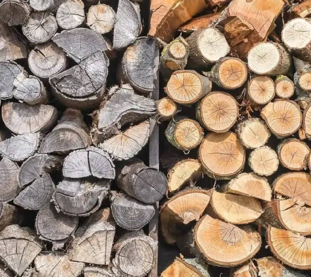 Gros tas de bois de chauffage trop vieux, certains grisâtres et usés, d'autres plus frais et orangés, empilés pour l'hiver.