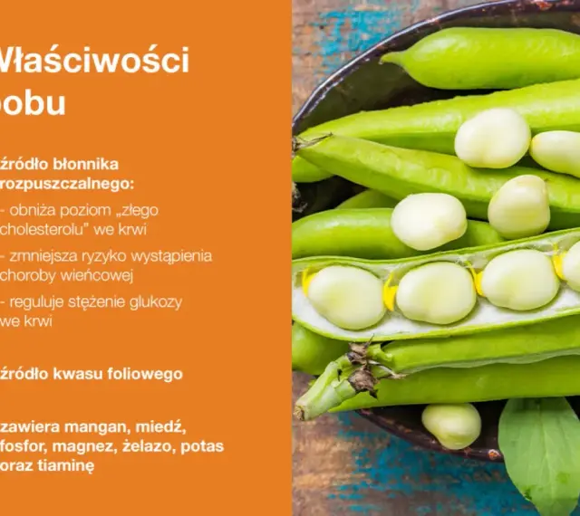 Bób - zdrowe nasiona bogate w błonnik i kwas foliowy. Niewielkie bób kalorie czynią go idealnym dodatkiem do diety.