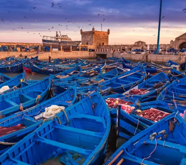 Port w Maroku, pełen błękitnych łodzi rybackich, z twierdzą w tle. Idealna pogoda na wrzesień, by podziwiać zachód słońca nad Atlantykiem.