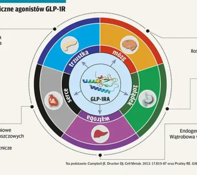 Schemat działania agonistów GLP-1R na organizm: trzustkę, mózg, żołądek, wątrobę i serce.