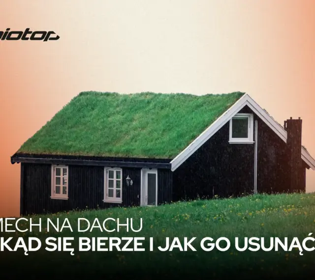 Zielony mech porasta dach małego, czarnego domku. Tekst pyta: "Mech na dachu: skąd się bierze i jak go usunąć?".