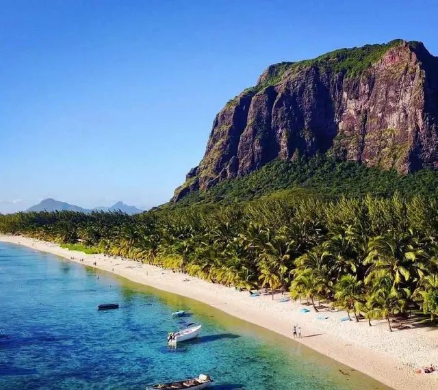 Mauritius pogoda sierpień: rajska plaża z palmami, turkusowa woda i majestatyczna góra Le Morne. Idealne warunki na wakacje.