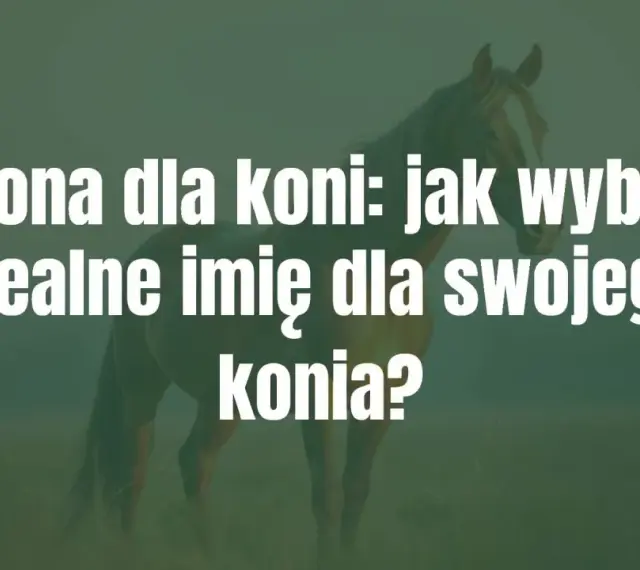 Imiona dla koni: jak wybrać idealne imię dla swojego konia? Piękny koń na tle zielonej łąki.
