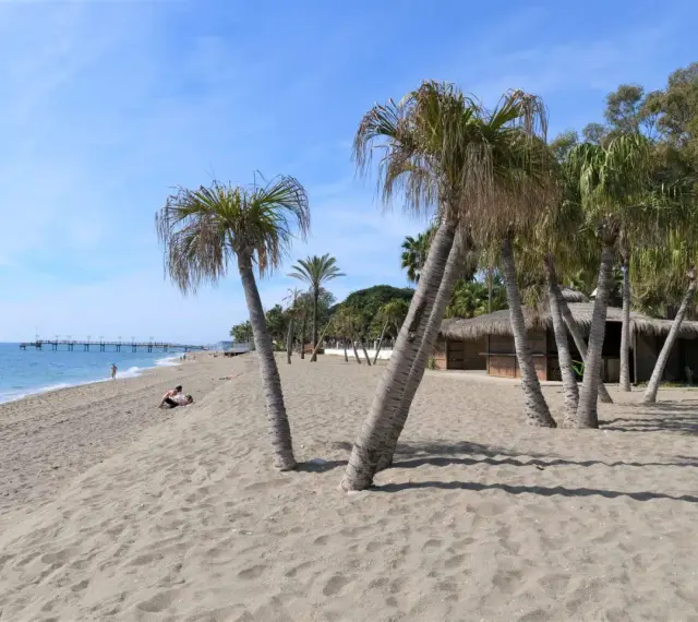 Plaża w Marbelli z palmami, piaskiem i budynkiem z krytym strzechą dachem. W oddali widać molo i błękitne morze.