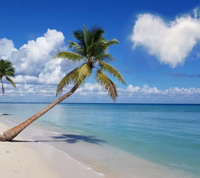Rajska plaża z palmami, idealne miejsce, gdzie w styczniu na wakacje. Błękitne morze i serce na niebie.