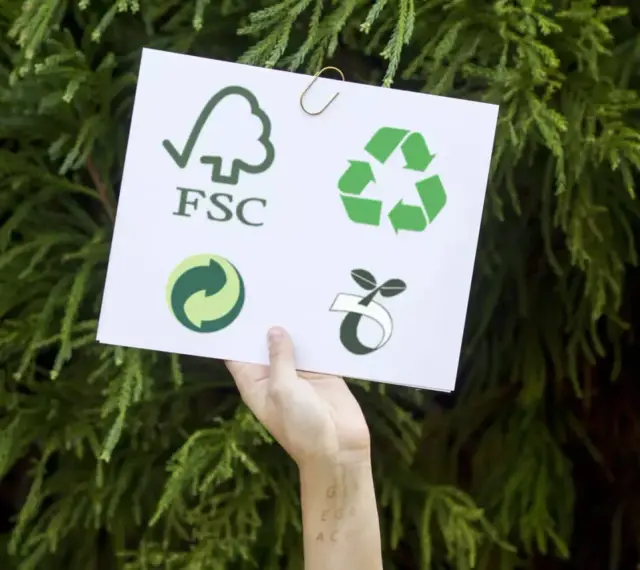 Dłoń trzyma kartkę z symbolami: FSC, recyklingu, zielonej kropki i kiełkującej rośliny. To symbol ekologii.