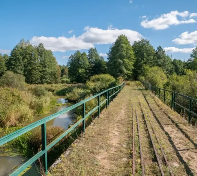 Most starych torów kolejowych nad rzeką w Białowieskim Parku Narodowym. Ciekawostki przyrodnicze i historyczne tego miejsca zachwycają.