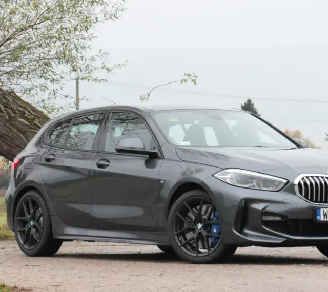 Szare BMW 118i zaparkowane przy przewróconym drzewie.
