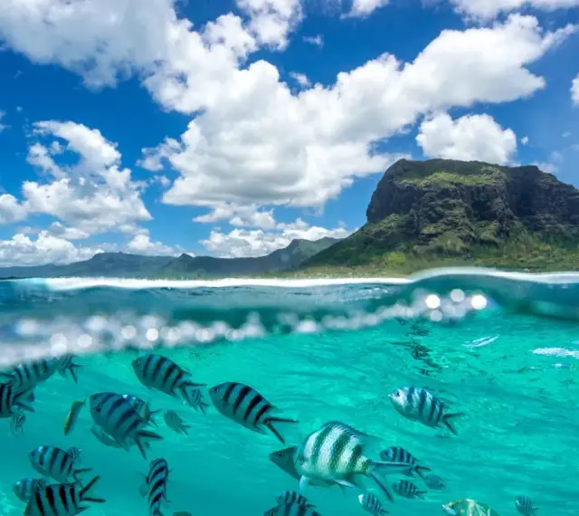 Podwodny świat Mauritiusa zachwyca. Uważaj na prądy, ale podziwiaj ryby i górę Le Morne Brabant.