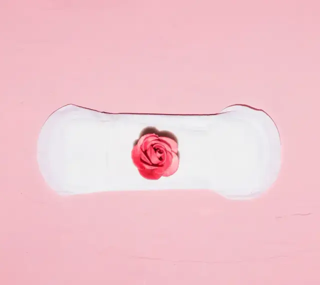 Biały podpaska z różową różą pośrodku. Symbolizuje cykl menstruacyjny, gdzie skrzep czy zarodek może być częścią tej naturalnej podróży.