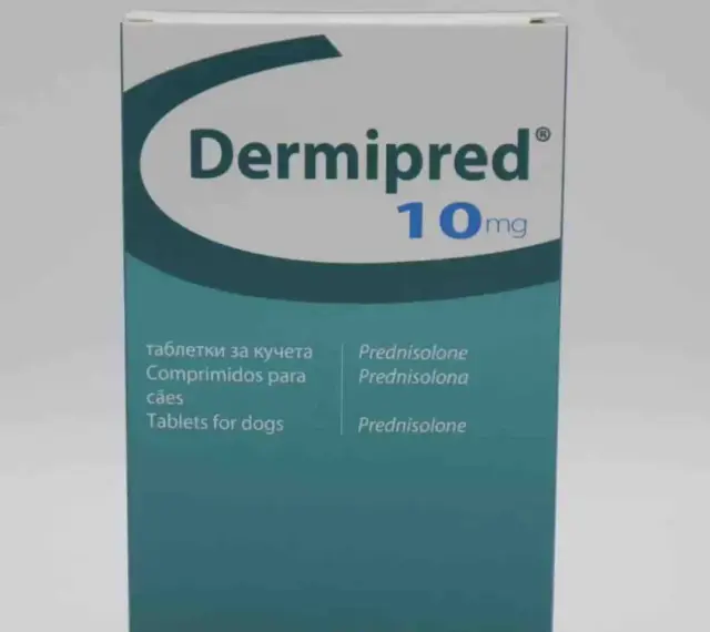Dermipred 10mg to lek z prednizolonem, stosowany m.in. u psów.