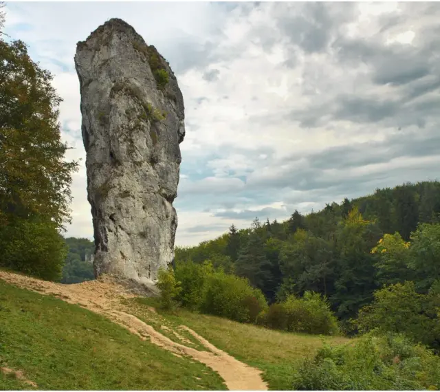 Maczuga Herkulesa, wysoka skała wapienna, stoi samotnie na tle zielonego lasu i burzowego nieba.