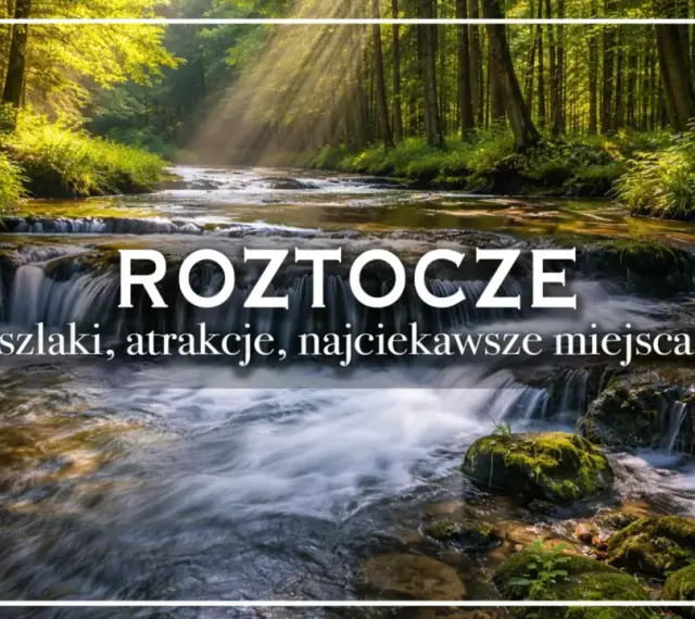 Roztocze: szlaki, atrakcje, najciekawsze miejsca. Malowniczy potok w lesie, idealny na wycieczkę.
