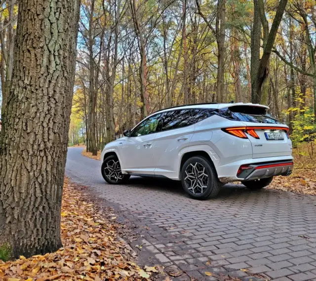 Biały Hyundai Tucson Hybrid na jesiennej drodze wśród drzew.