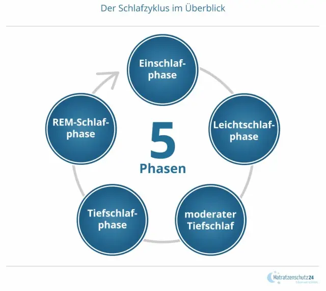 Der Schlafzyklus besteht aus 5 Phasen: Einschlaf-, Leichtschlaf-, Tiefschlaf-, moderater Tiefschlaf- und REM-Schlaf-Phase.
