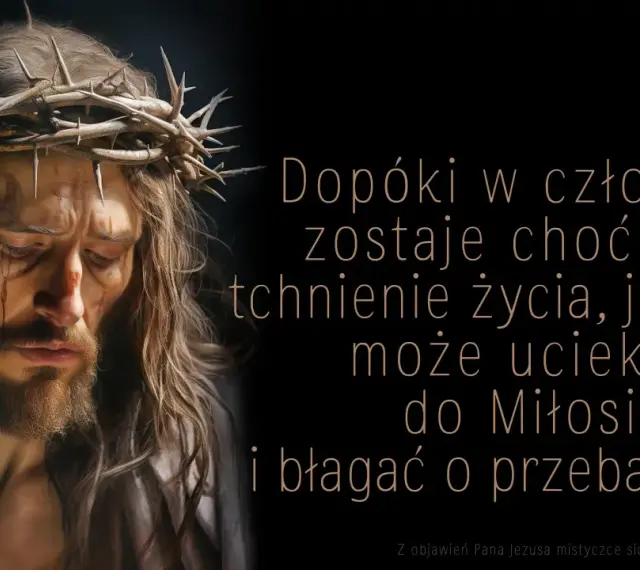 Twarz Jezusa w koronie cierniowej, z krwawymi śladami. Słowa Jezusa: "Dopóki w człowieku zostaje choć jedno tchnienie życia, jeszcze może uciekać się do Miłosierdzia i błagać o przebaczenie.