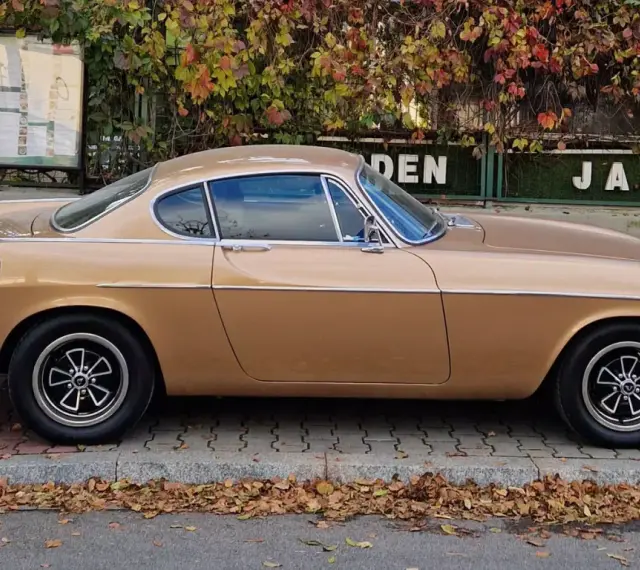 Klasyczny Volvo P1800 w kolorze złotym, zaparkowany na tle jesiennych liści i zielonego płotu z napisem "JAPAN".