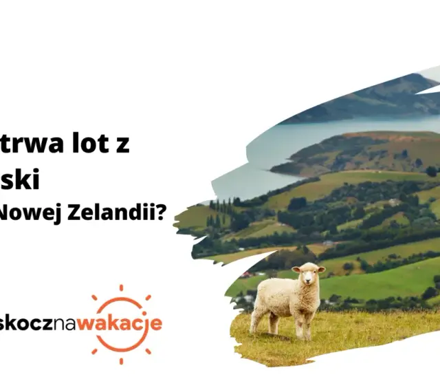 Ile się leci do Nowej Zelandii? Owca na tle zielonych wzgórz i zatoki.