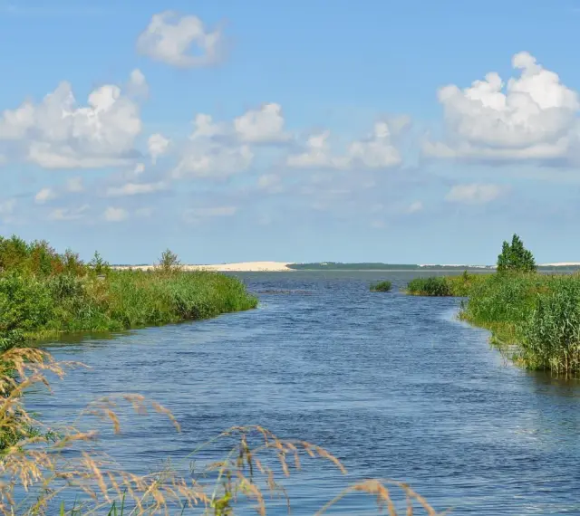 Spokojne jezioro na wybrzeżu słowińskim, otoczone zielenią i trzcinami, z piaszczystymi wydmami w oddali pod błękitnym niebem.